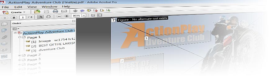 Adobe Acrobat X Professional