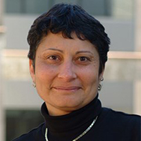 Dr. Magda El-Shenawee